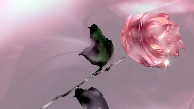 Для самых красивых.wmv смотреть онлайн