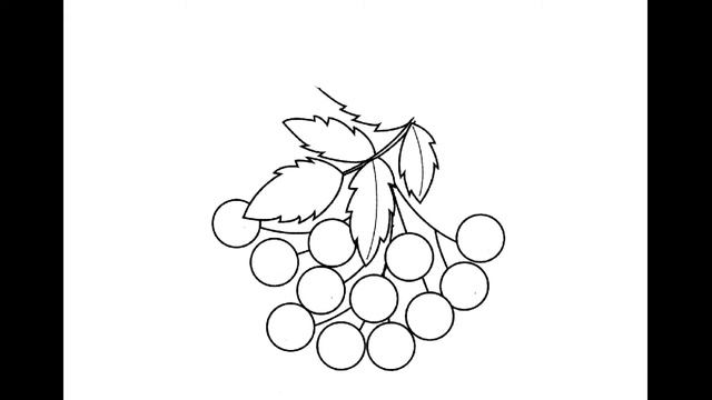 Как нарисовать Ветку рябины. Раскраска Ветка рябины для детей смотреть онлайн