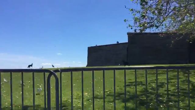 Статуя свободы смотреть онлайн