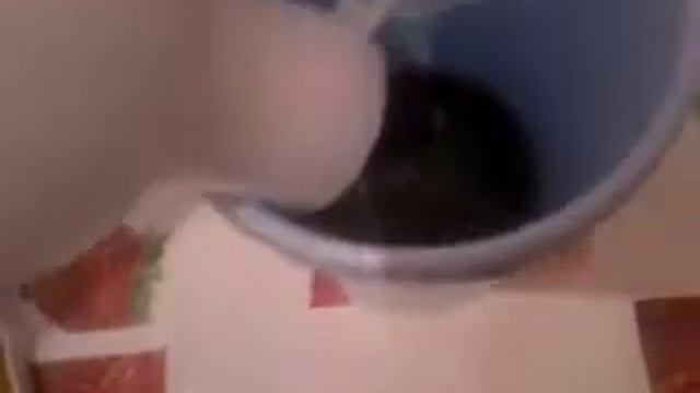 Как сделать лизуна из шампуни и воды смотреть онлайн