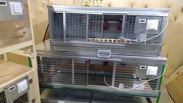 Обзор/Купить дешево брудера для перепелок с механическим датчиком интернет магазин - Большой фермер смотреть онлайн