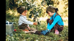 Окружающий мир 3 класс. Что такое экология. С ответами, стр 24