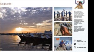 Что посмотреть в Аджмане (Ajman)