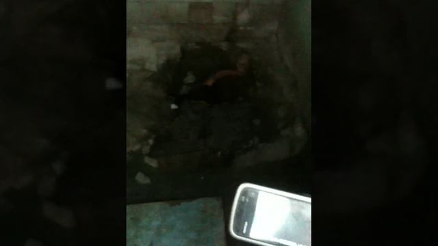 Поиск мобилы в туалете за 30 грн!