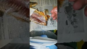 Красноперка. Сорожка. Волжская ??