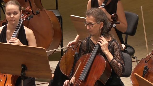 Гайдн. Симфония № 38 до мажор «Эхо» смотреть онлайн