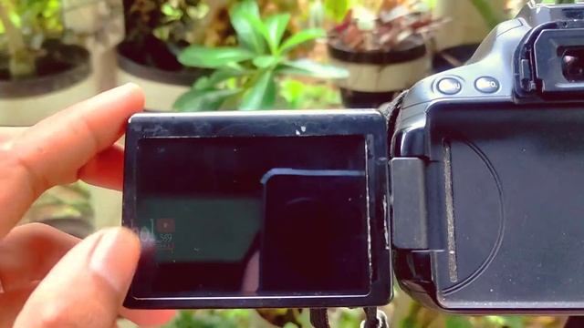 Review Canon Eos 650D | 2022 Kamera Murah Cuma 2 Jutaan