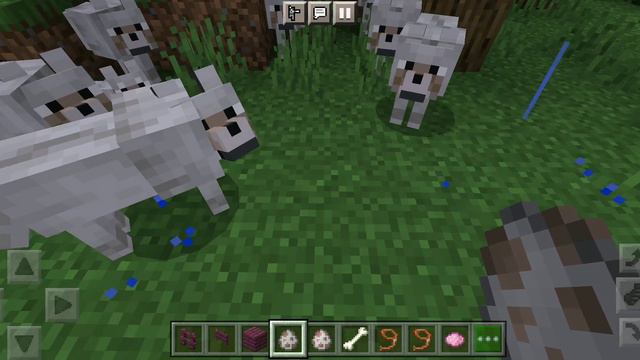 волки едят овц в Майнкрафт смотреть онлайн