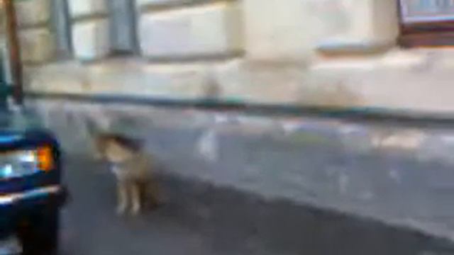 самбірський дуэт смотреть онлайн
