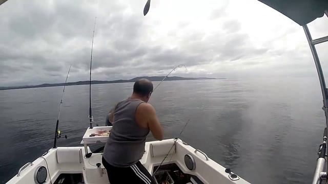 Snapper Fishing, Berkley Gulp Lure, NSW Australia смотреть онлайн