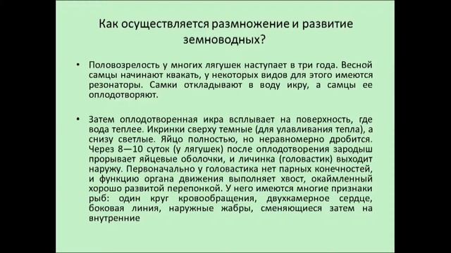 Класс Амфибии 3 Урок биологии смотреть онлайн