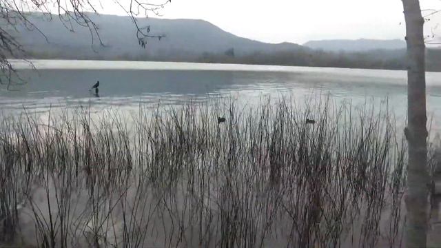 Влог Банеолис озеро чистейшей горной воды ,красоты Каталонии смотреть онлайн