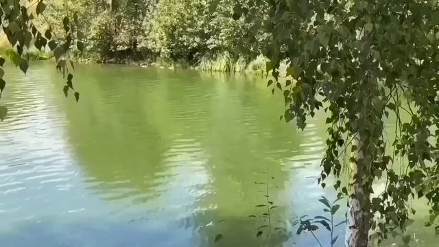 ЗАЧЕМ УРАЛКЕ ДЕГТЯРНОЕ МЫЛО? ОЛЬГА УРАЛОЧКА LIVE. смотреть онлайн