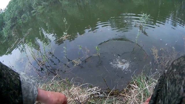 Утро на реке. Рыбалка на поплавок при подъеме воды. смотреть онлайн