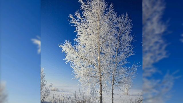 8714d372484e2601447d9461ccbbb92d