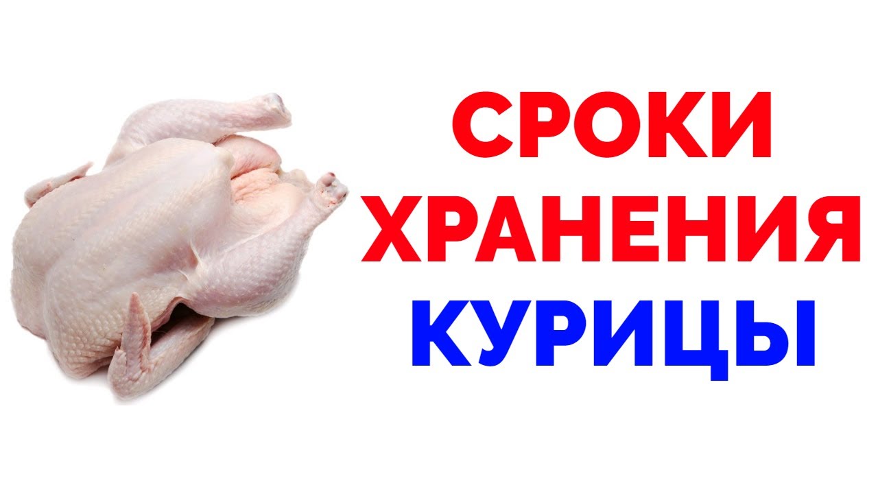 Срок хранения курицы в холодильнике сырую смотреть онлайн