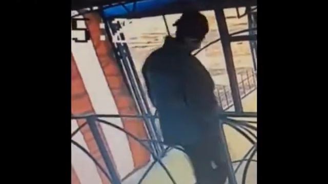 Полиция просит помощи в установлении личности мужчины, совершившего кражу на Ботанике смотреть онлайн