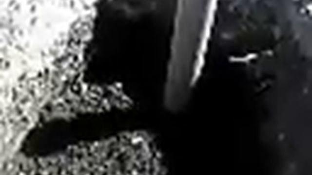 посадка винограда 4 смотреть онлайн