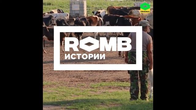 Приют "Уголек" смотреть онлайн