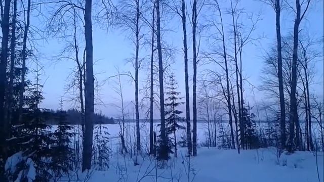 Карельская глушь. 2 дня наедине с природой смотреть онлайн