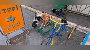 18 сент.2022г.Барахолка Киев. Посуде нет цены. КУПИЛИ...