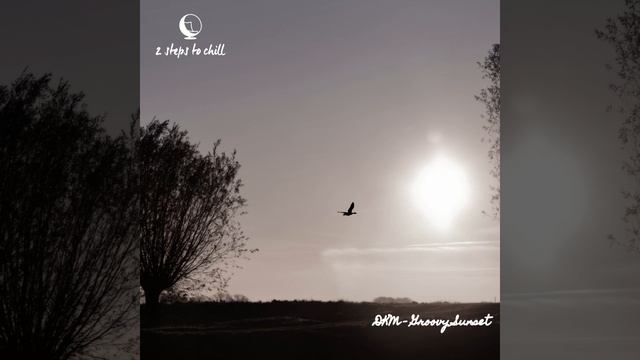 Groovy Sunset (Original Mix) смотреть онлайн