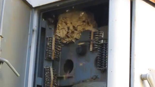 Стрелял по гнезду шершней!!! смотреть онлайн