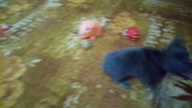 В ОБЪЯВЛЕНИЕ смотреть онлайн