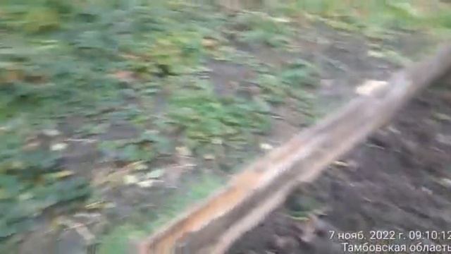 лук стардаст смотреть онлайн