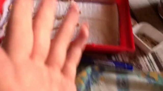 Обустраиваем клетку для Твикси смотреть онлайн