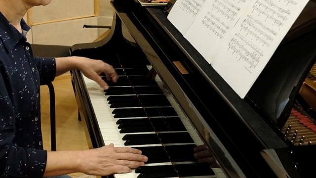 Leopoldo Miguez - "Madrigal" for violin and piano (Marcio Candido and Katia Balloussier) смотреть онлайн