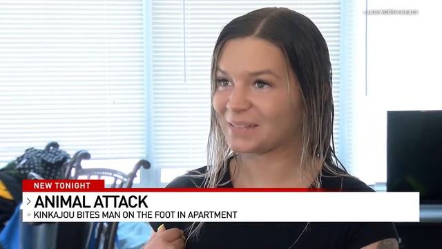 Кинкажу пришел за добавкой к угостившему его американцу смотреть онлайн