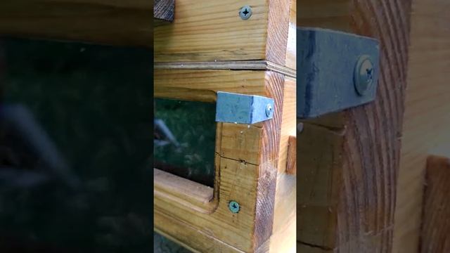 Японский улей с окнами смотреть онлайн