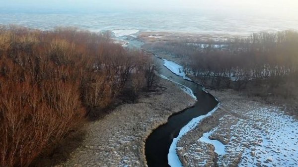 Song: Syntact - Ego [NCS Release] Music provided by NoCopyrightSounds