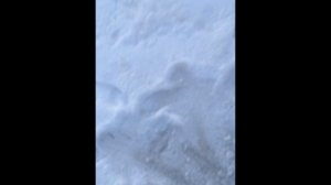 Якутская пешня из рессоры