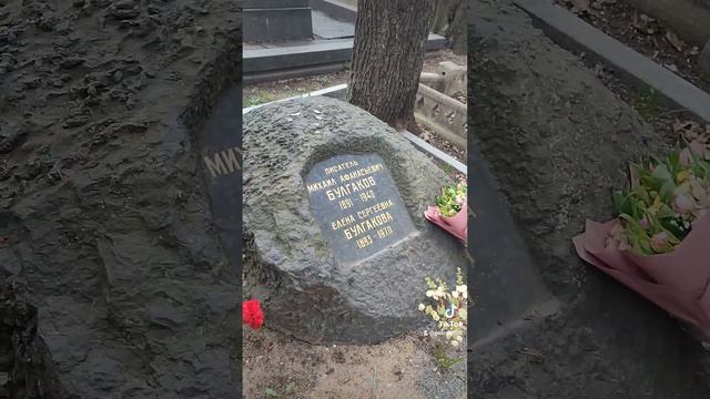 могилы знаменитых писателей и поэтов смотреть онлайн