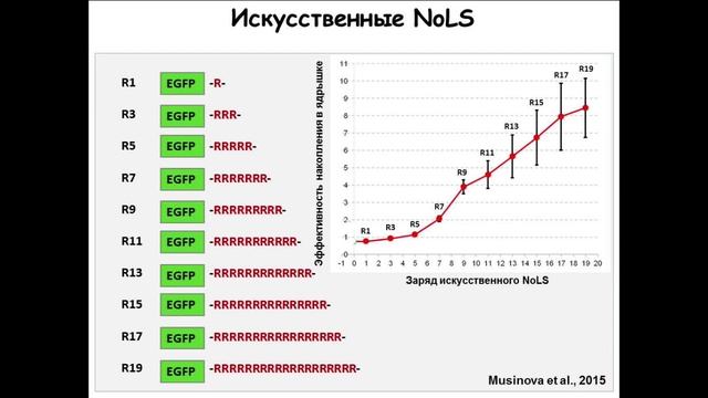 Евгений Шеваль: "Живая клетка: порядок из хаоса" смотреть онлайн