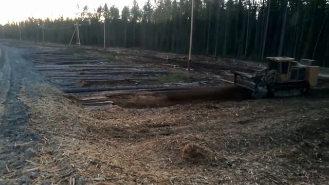 Мульчер тигер кат 480 работа вдоль дорог. смотреть онлайн