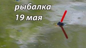 ЗАБЫЛ НАЖИВКУ и начался СУПЕР жор .Рыбалка в мае 2022