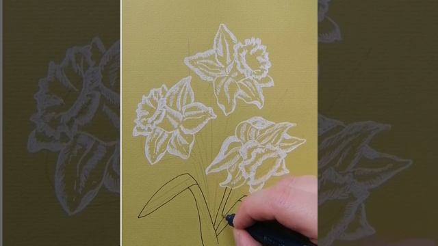 Рисование цветов. Нарциссы смотреть онлайн