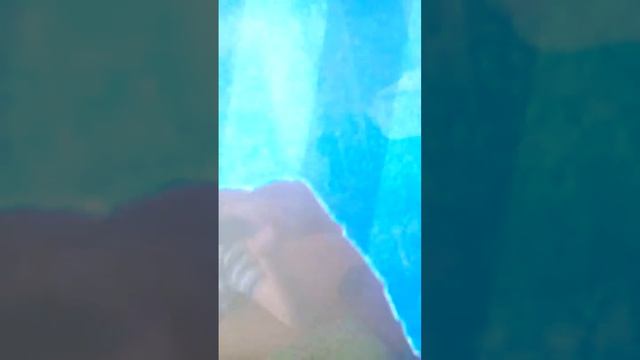 Лунтик киноляпы смотреть онлайн