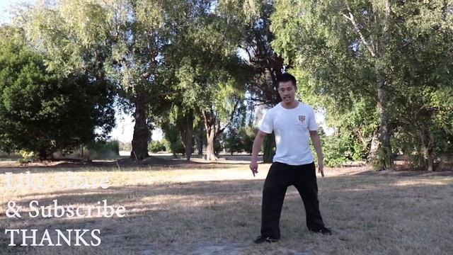 Shaolin Kung Fu Wushu High Jump Kick Training For Beginners смотреть онлайн