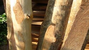 Как подготовить необрезную  доску для деревянного забора