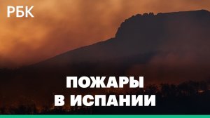 Лесные пожары в Испании: горят десятки тысяч гектаров, жителей эвакуируют