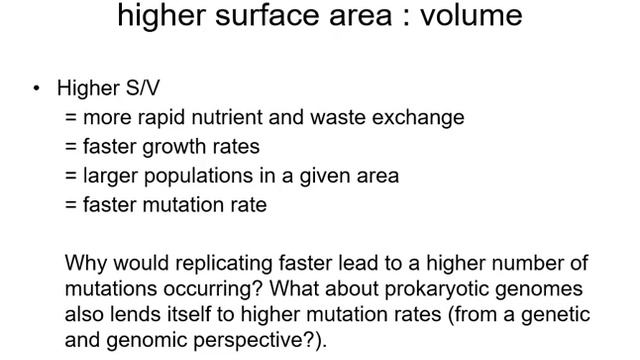 Intro to Microbes Launen смотреть онлайн