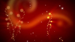 Футаж Флористические узоры на красном фоне