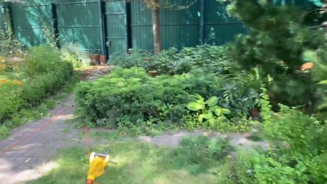 Садовое обслуживание участка, обрезка деревьев и кустарников #ландшафтныйдизайн #уходзасадом смотреть онлайн