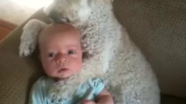 Что-то ты испачкался, дружок смотреть онлайн