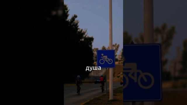 Мышление и разум #shorts смотреть онлайн