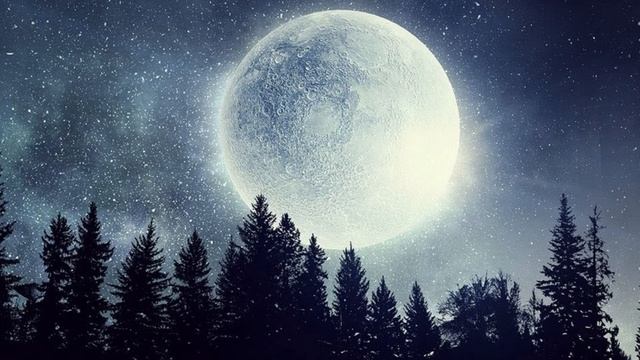 Что такое фазы луны. Почему нужно жить, ориентируясь на фазы луны смотреть онлайн